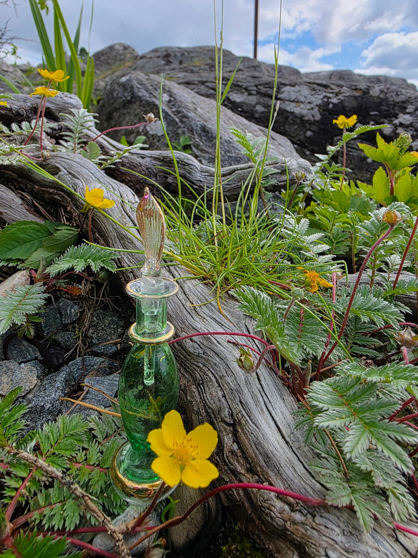 Glassflakon i drivtømmer