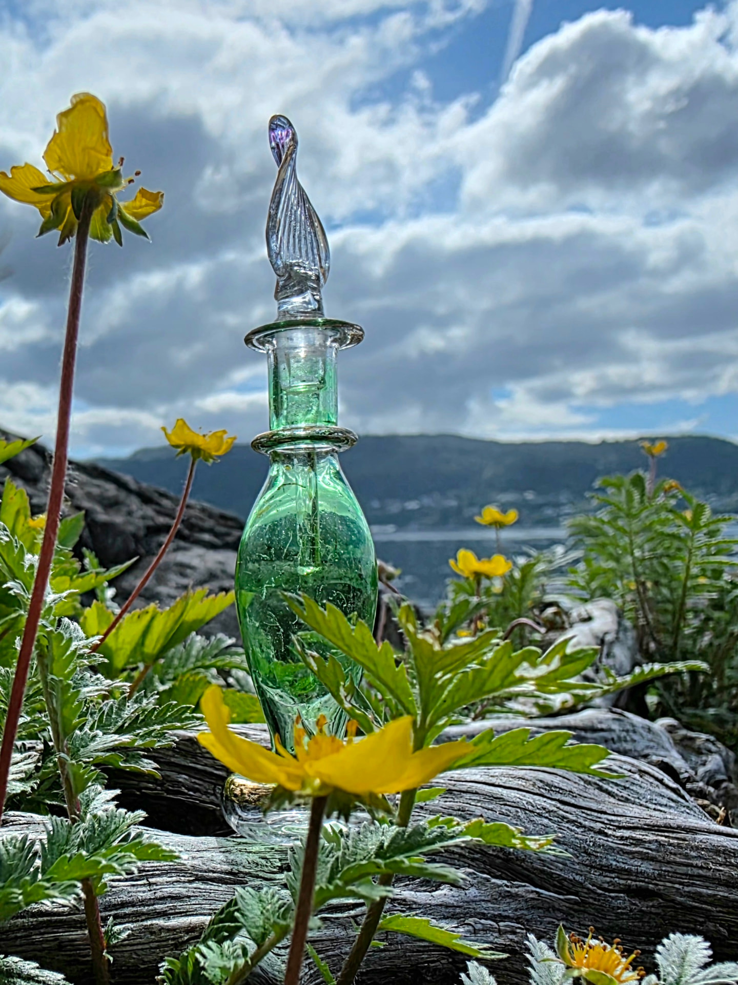 Grønn glassflakon på drivtømmer med gule blomster og fjord i bakgrunnen